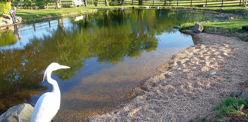 Lake & Pond Clearance
