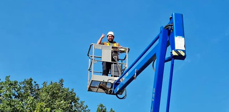 Tree Pollarding & Canopy Works Tree Pollarding & Canopy Works