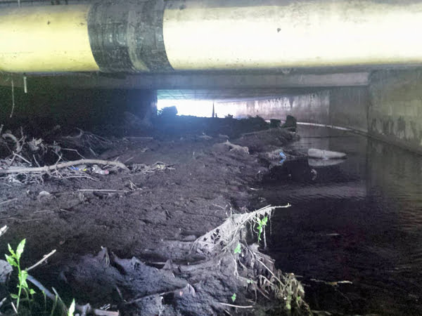 Bridge Silt Investigation