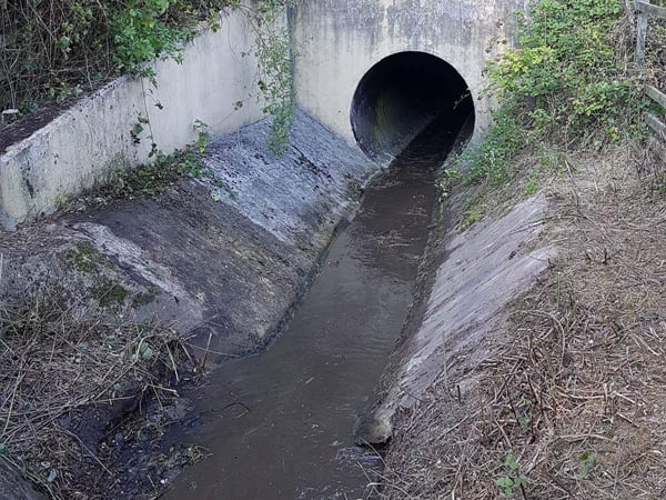 Ditching and Ditch Clearance