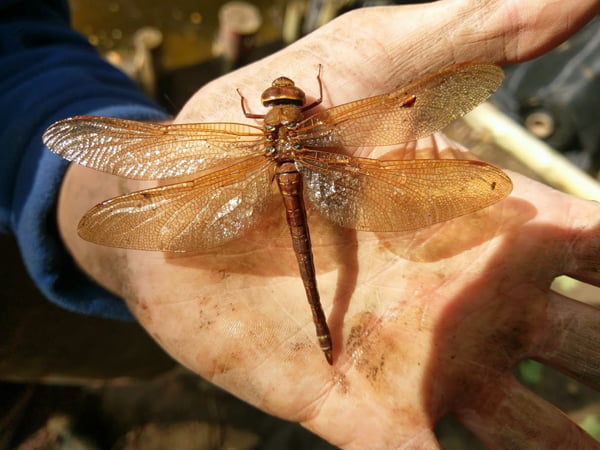 Watercourse Improvements