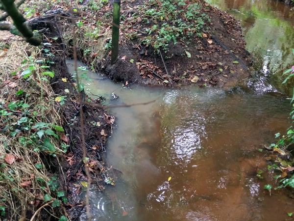 Water & Environmental Testing